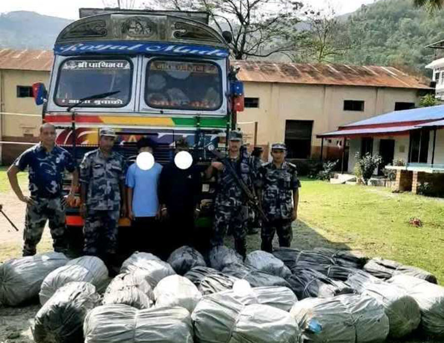 ७८३ किलो गाँजासहित दुईजना पक्राउ