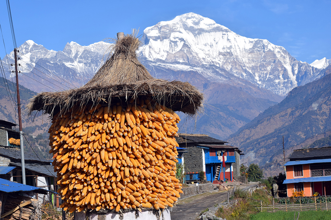 झीँ गाउँको सौन्दर्य