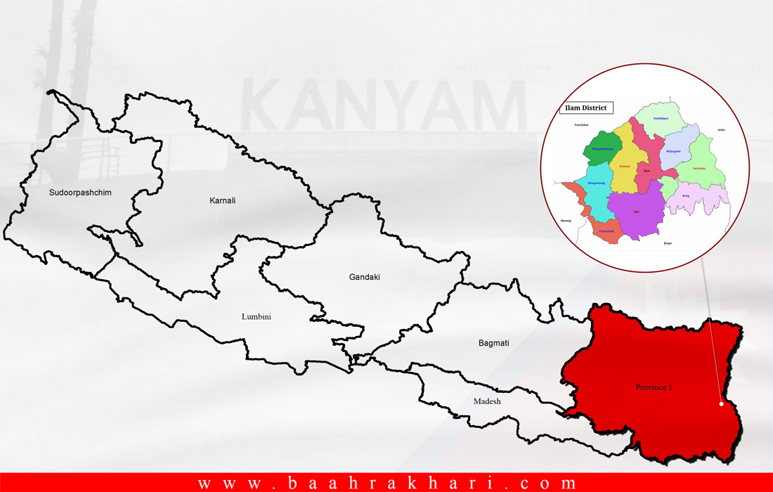 इलामको स्थानीय चुनावमा खनाल भर्सेस नेम्वाङ : लाभ उठाउने तयारीमा कांग्रेस !