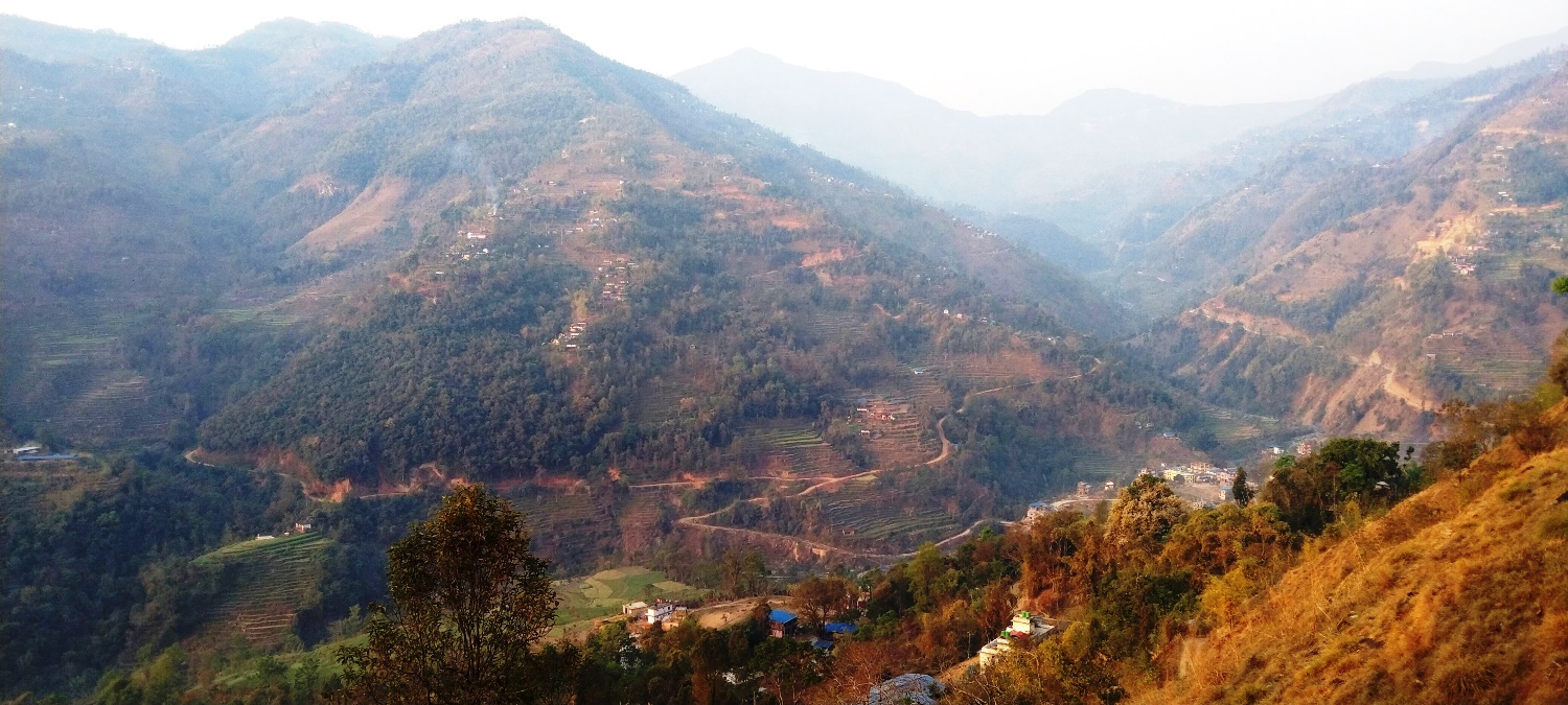बसाइँसराइको चपेटामा जैमिनीका गाउँ