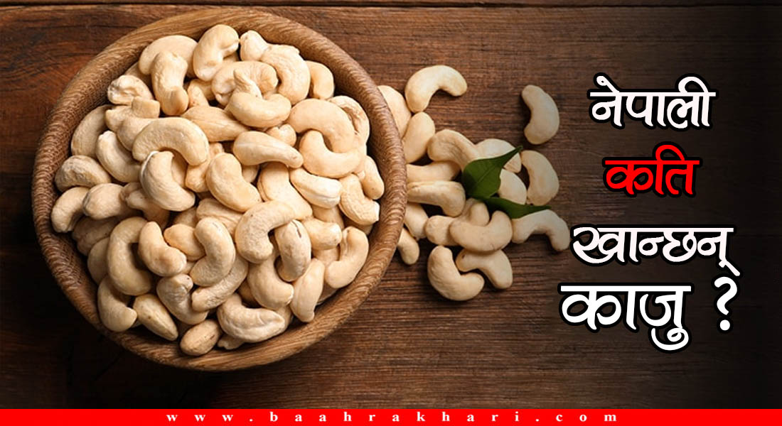८ महिनामा ४३ करोडको काजु भित्रियो, कुन देशबाट कति ?