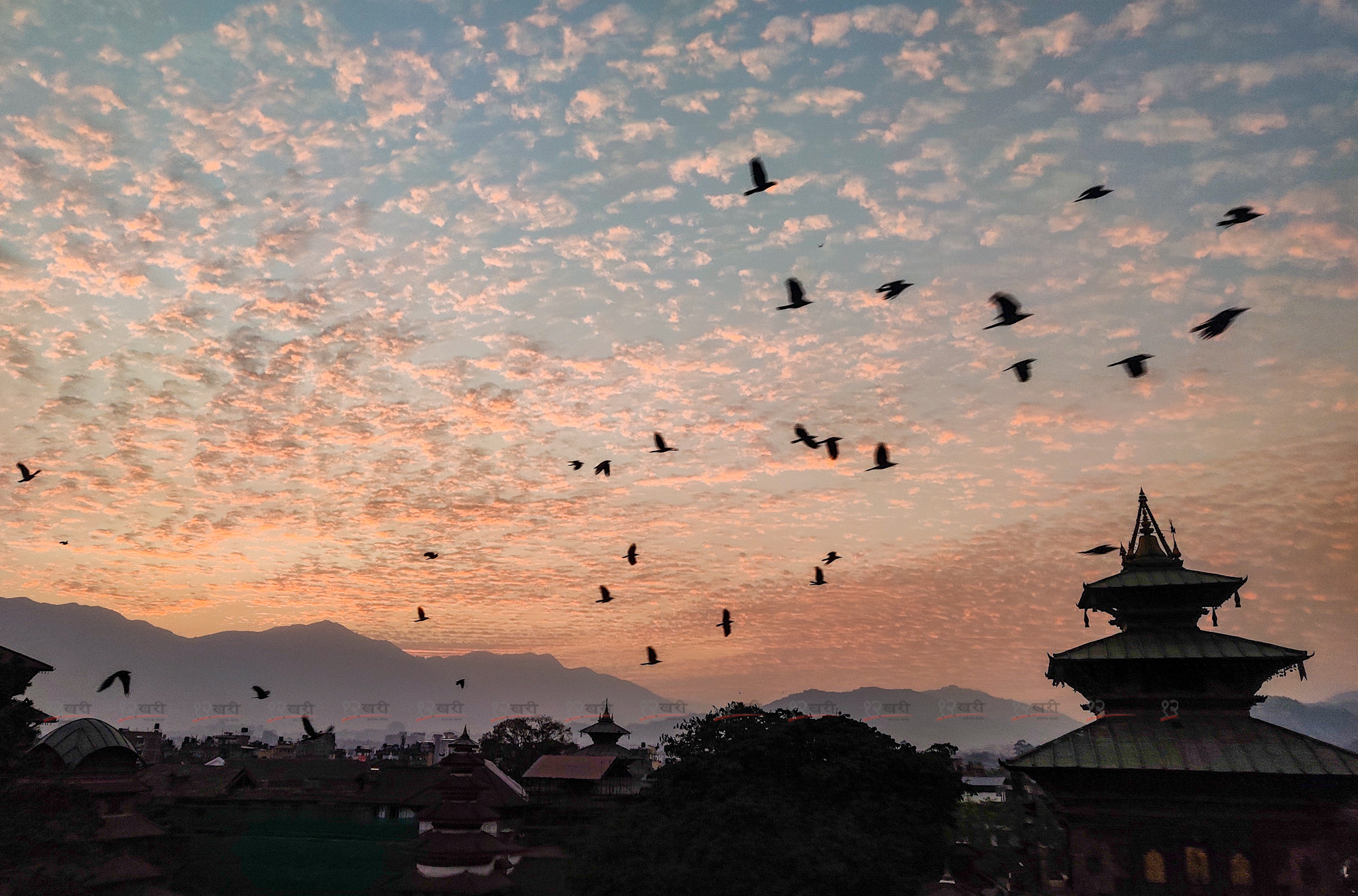 भैरहवाको अधिकतम तापक्रम ४० डिग्री सेल्सियसभन्दा माथि, कहाँको कति ?