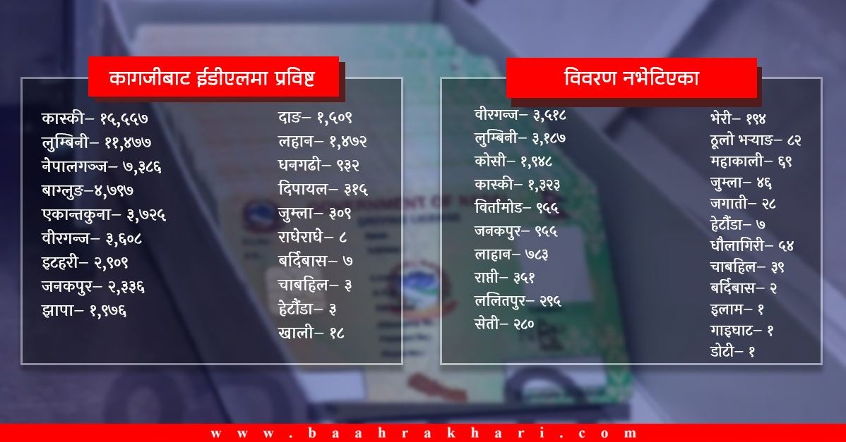 शंकास्पद नक्कली लाइसेन्स : कहाँबाट कति बाँडिए ? (विवरणसहित)