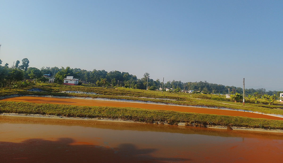 दुई करोडभन्दा बढी माछाका भुरा उत्पादन