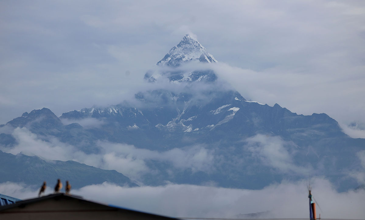 माछापुच्छ्रे हिमाल 