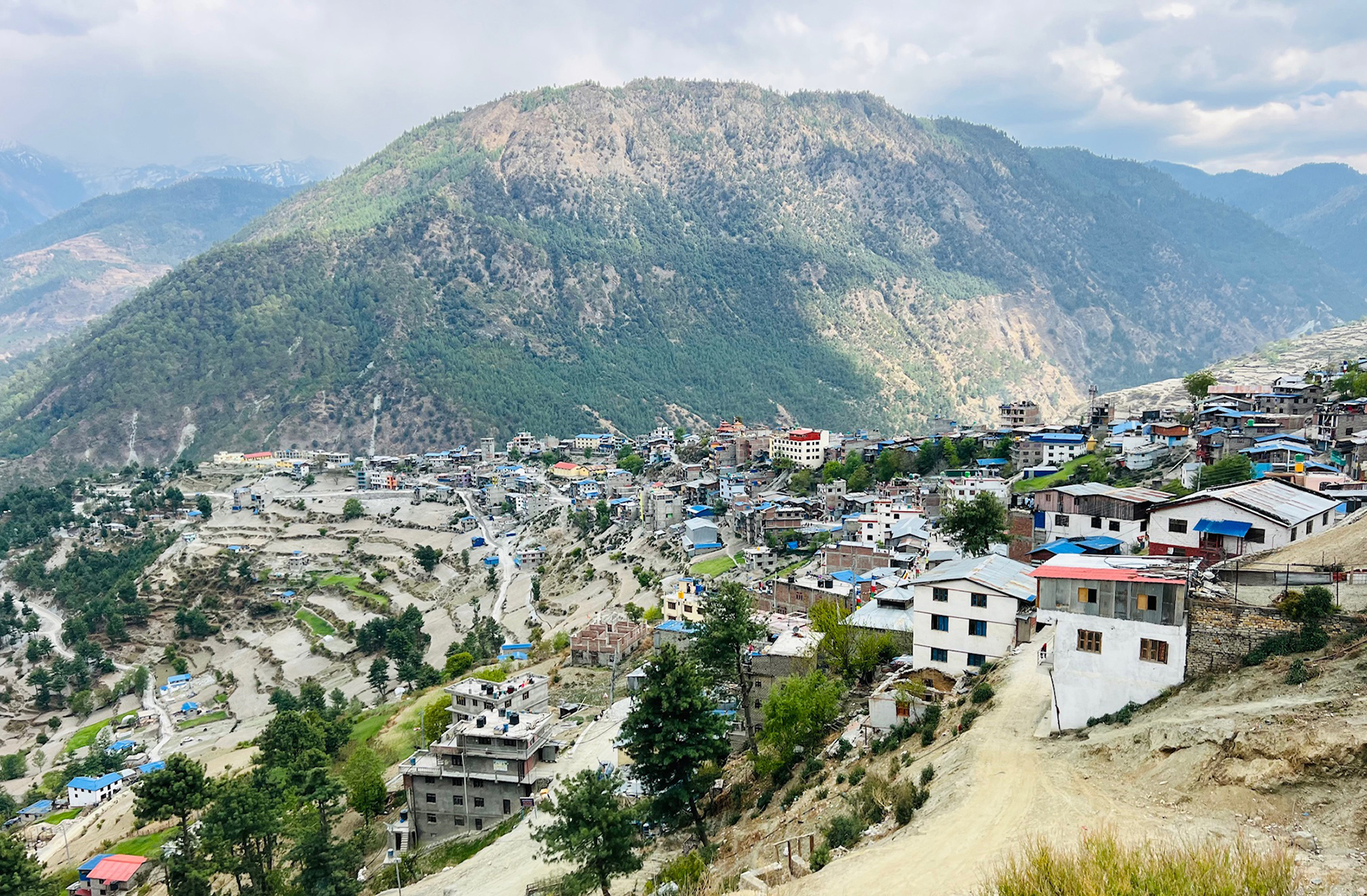 करेन्ट लागेर मुगुमा १० खच्चर मरे, विद्युत् प्राधिकरणमाथि आरोप