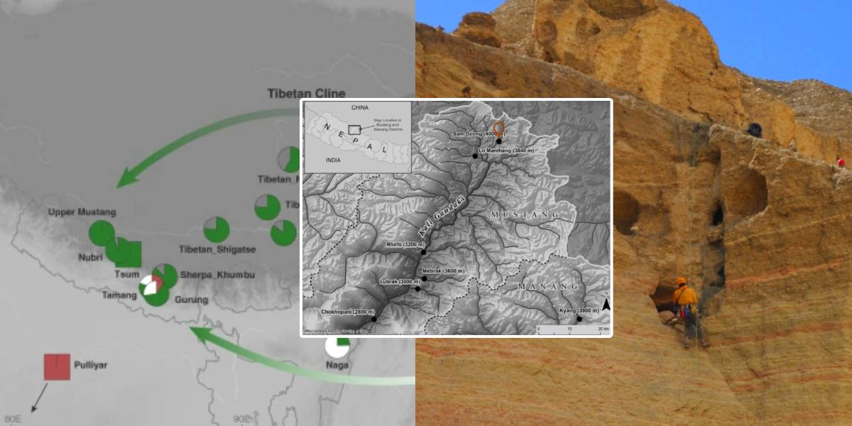 नेपालका हिमाली भेगमा कहाँबाट आइपुगे मानिस ? सातौँ शताब्दीमा मुस्ताङमै बन्थ्यो छ्याङ