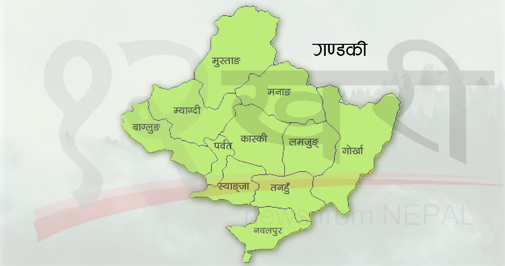 गण्डकीबाट १० हजार युवा विदेशिए