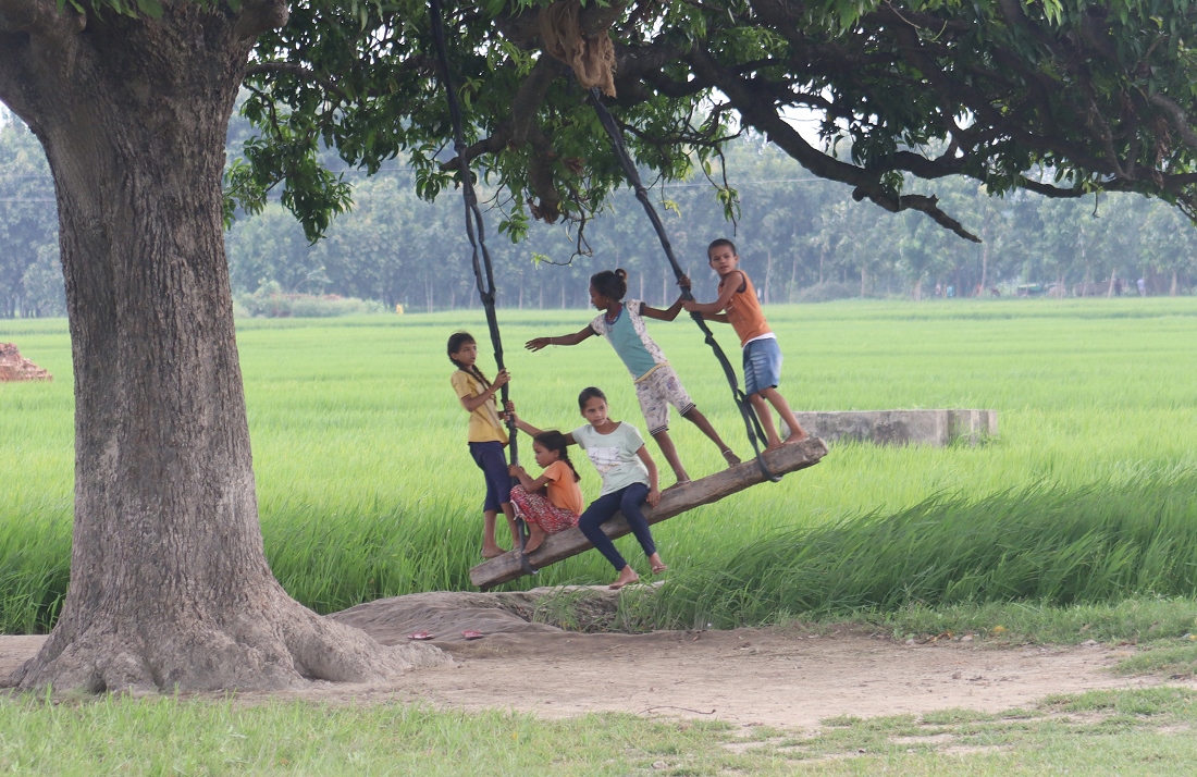 पिङ खेल्दै बालबालिका