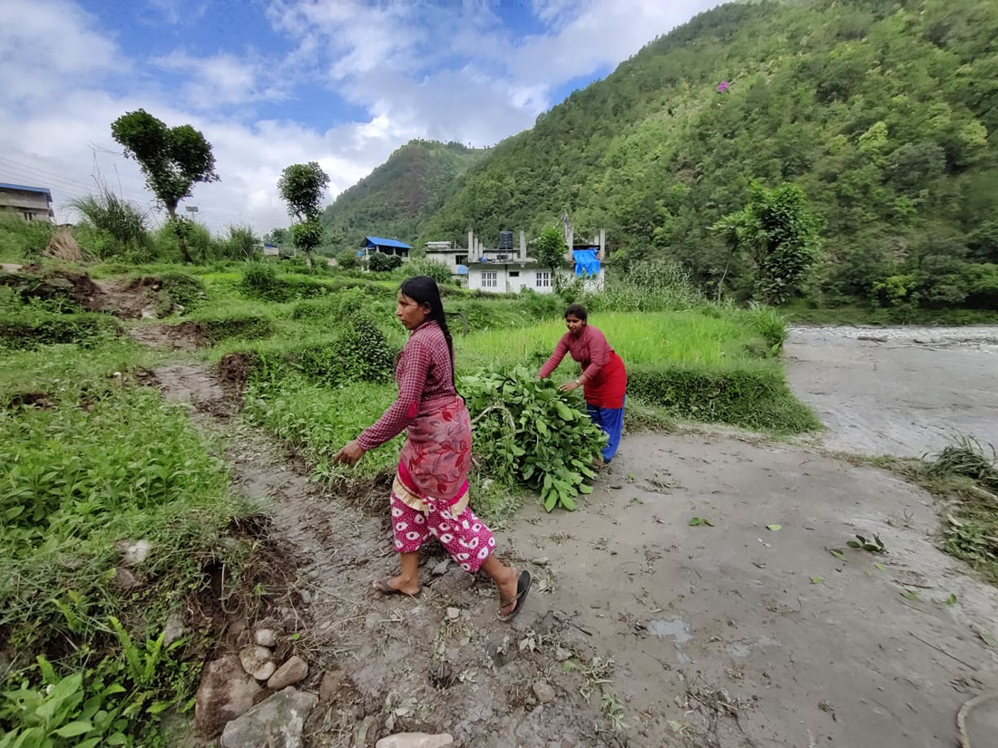 बाढीग्रस्त हेलम्बु क्षेत्रमा जनजीवन सामान्य बन्दै, घट्न थाल्यो नदीको बहाव