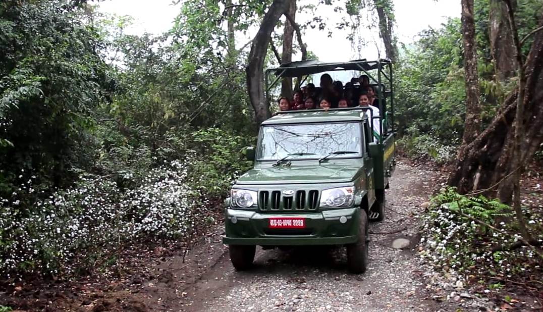 वन्यजन्तु अवलोकनको नयाँ गन्तव्य बन्दै पिप्रहर