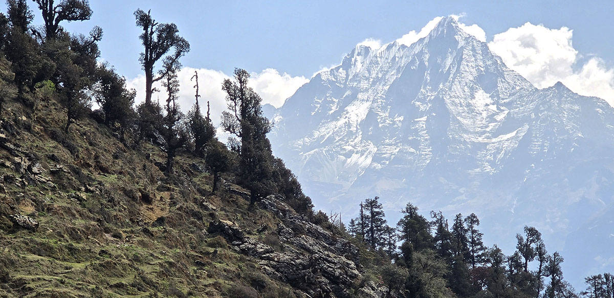 सिस्ने हिमाल
