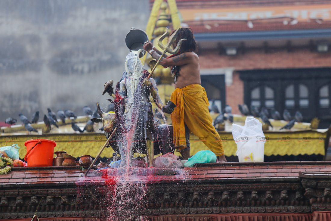 हनुमानढोकास्थित महेश्वर महादेवको मूलढोकामा स्वर्णलिपी महादेवको रुद्राभिषेक र पञ्चामृत दली स्नान गर्दै भक्तजन