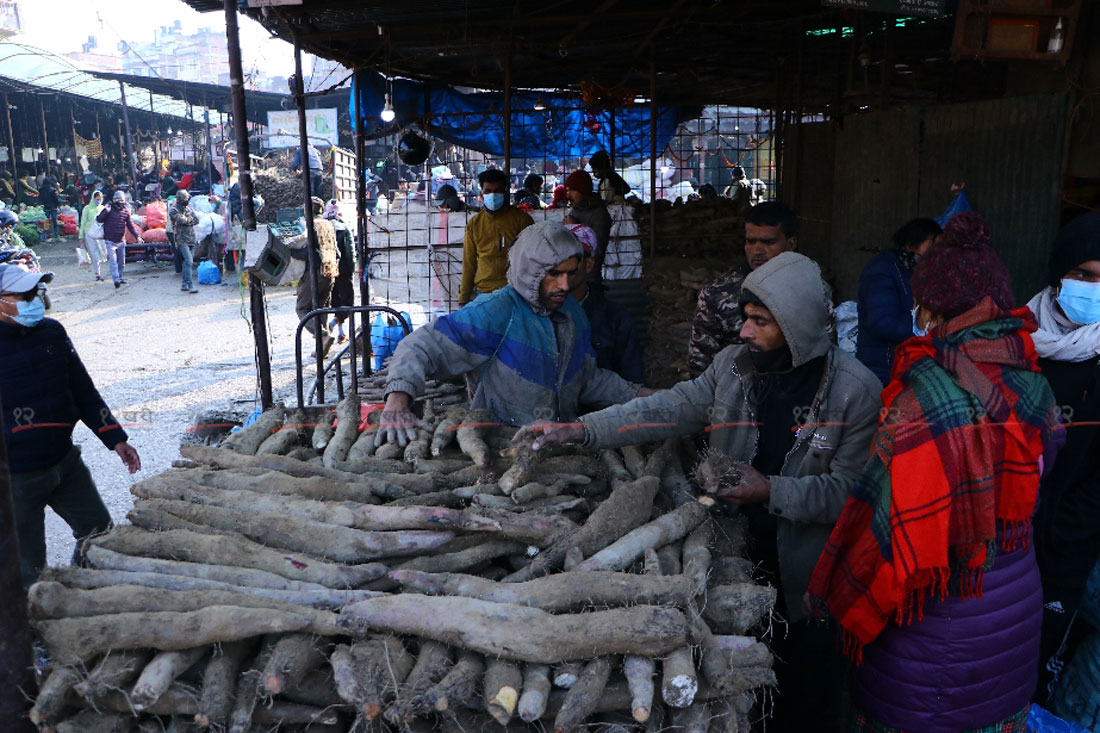 तरुलबाट बनाइएको म : म, पकौडा अवलोकनकर्ताको रोजाइमा