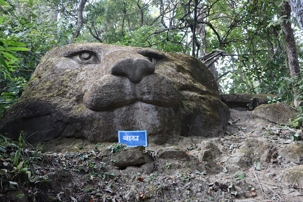 ढुंगामा बाघको आकृति