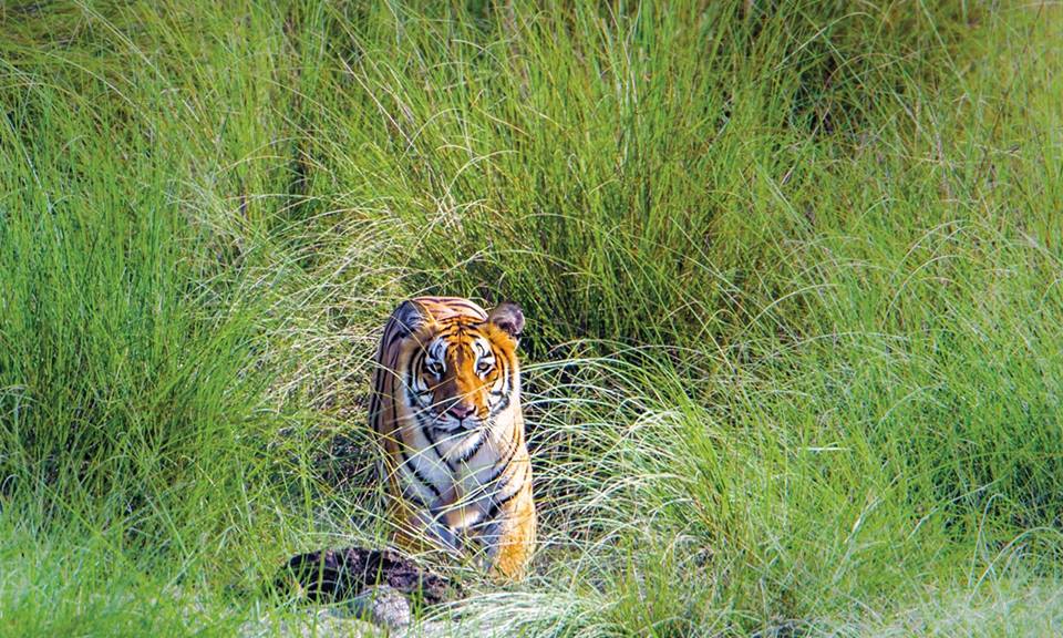 २०१९ मा भ्रमण गर्नैपर्ने संसारका उत्कृष्ट १५ गन्तव्यमा नेपाल