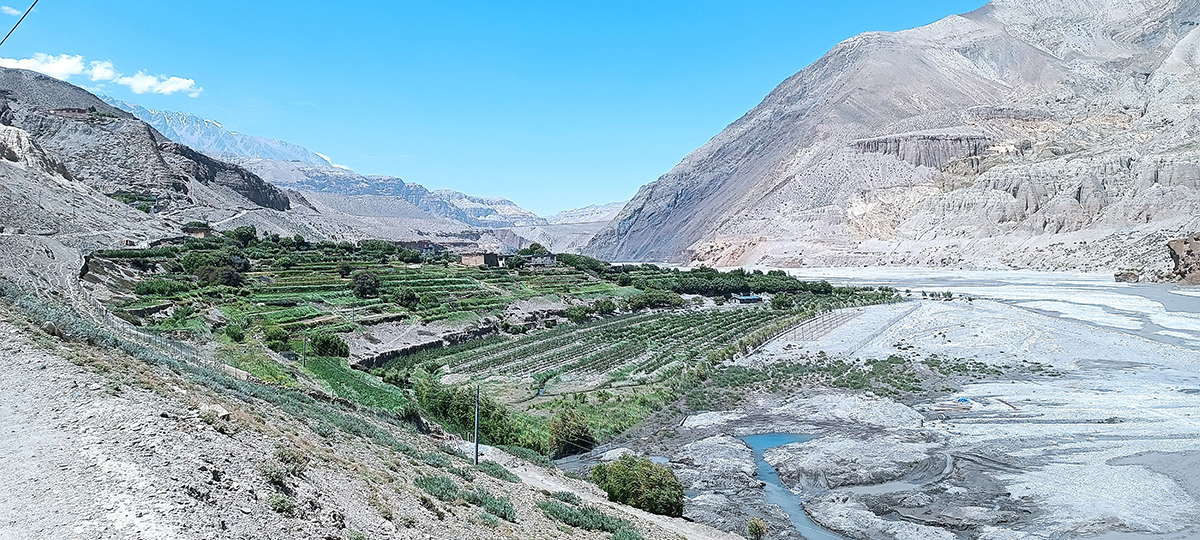 तिरीगाउँ