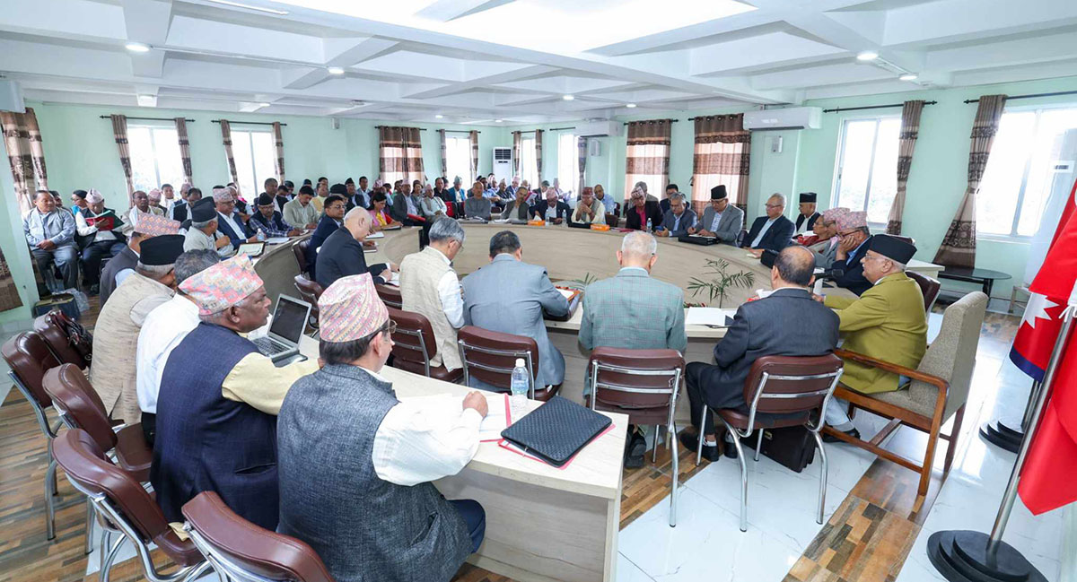 विद्या भण्डारीको सदस्यता नवीकरणमा झमेला, अनि युवराजले ओलीलाई रोके
