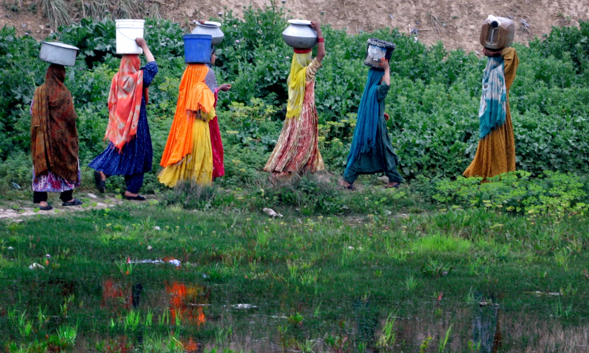 २५ वर्षमा विश्वको आधा खाद्य उत्पादन जोखिममा पर्दैछ !